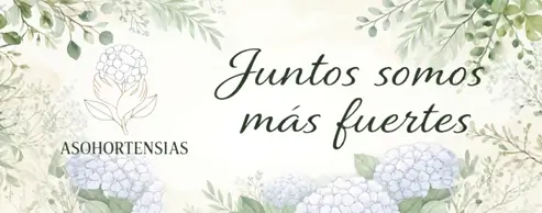 Banner Asohortensias